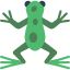 Kröten