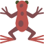Gehäutete Kröten